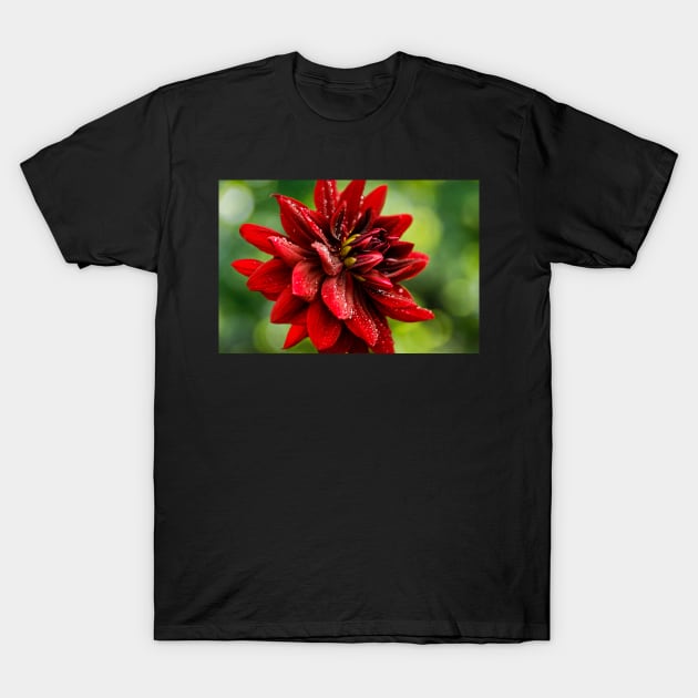 RIP City Dahlia T-Shirt by blossomcophoto